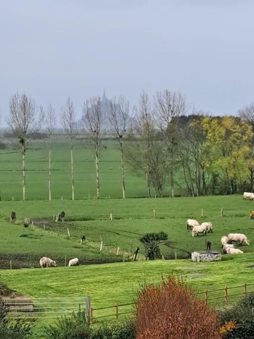 Le Nature Huisnes-sur-Mer Luaran gambar